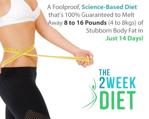 The 2 Week Diet